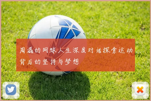 周磊的网球人生深度对话探索运动背后的坚持与梦想