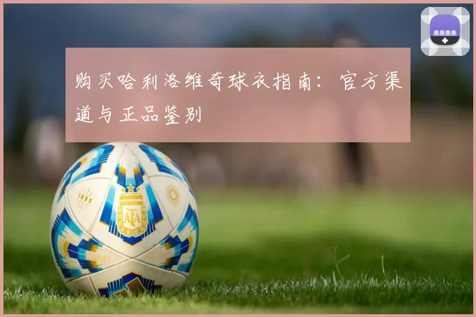 购买哈利洛维奇球衣指南:官方渠道与正品鉴别