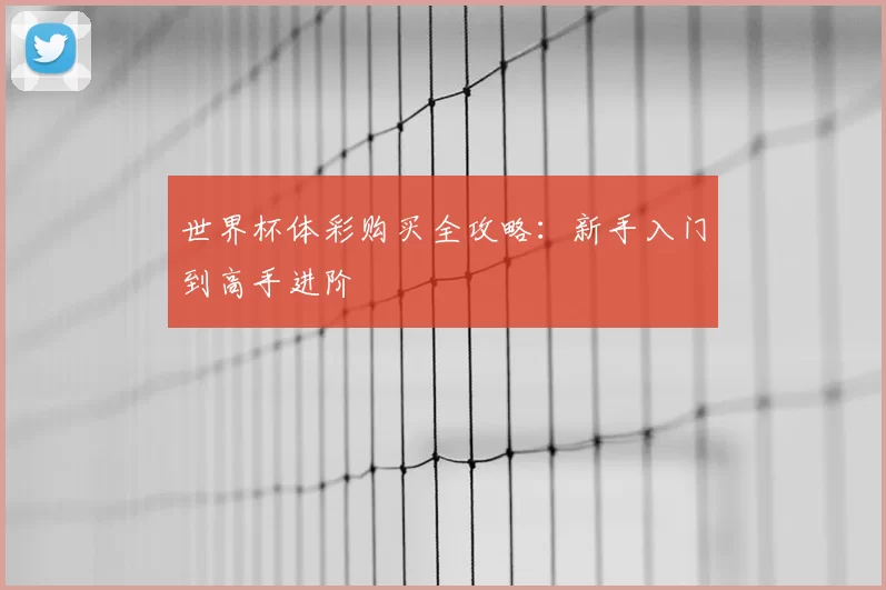 世界杯体彩购买全攻略:新手入门到高手进阶