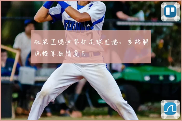 独家呈现世界杯足球直播,多路解说畅享激情夏日
