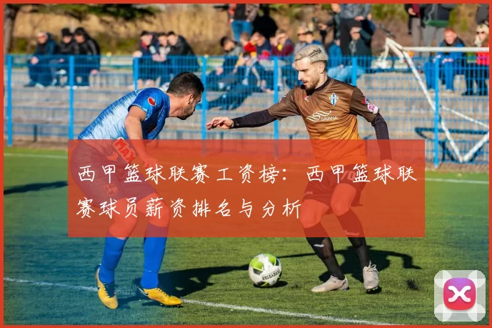 西甲篮球联赛工资榜：西甲篮球联赛球员薪资排名与分析