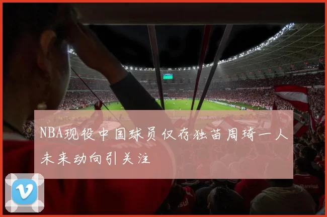 NBA现役中国球员仅存独苗周琦一人未来动向引关注
