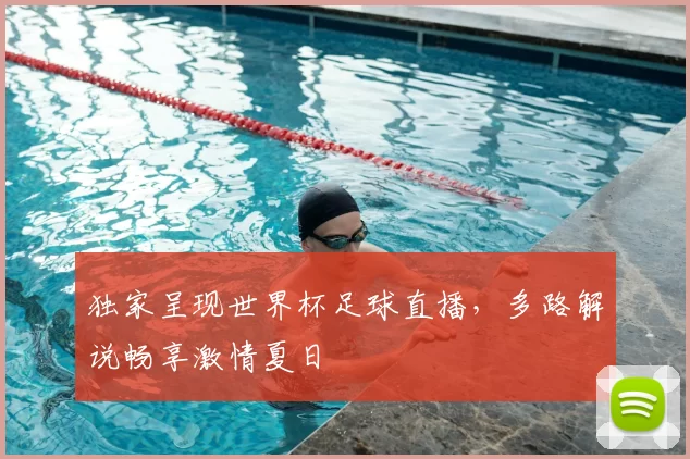 独家呈现世界杯足球直播，多路解说畅享激情夏日
