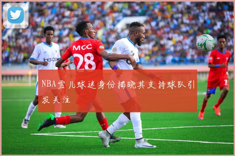 NBA雪儿球迷身份揭晓其支持球队引发关注