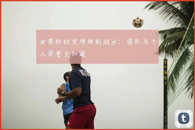 世界杯的奖项级别划分:团队与个人荣誉全知道